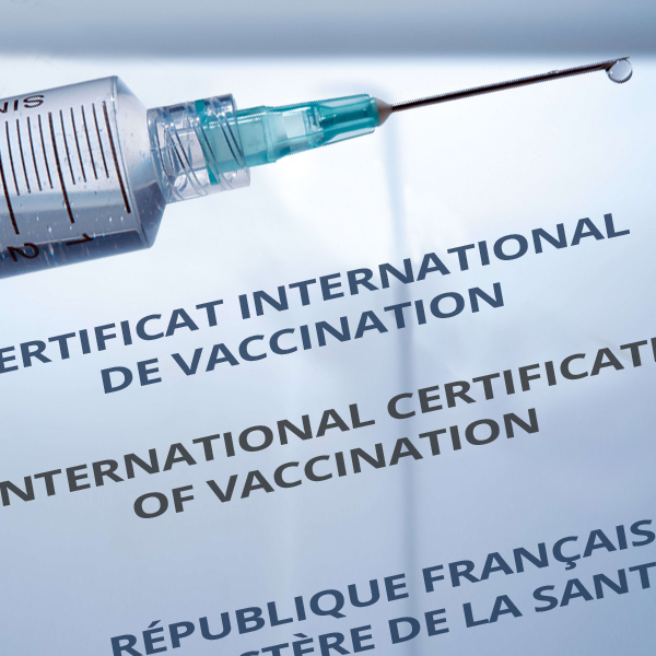 Un certificat international de vaccination.